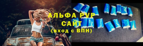 амф Гусиноозёрск