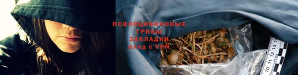 амф Гусиноозёрск