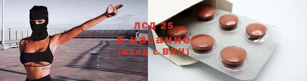 амф Гусиноозёрск
