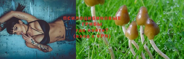 не бодяженный Гусь-Хрустальный